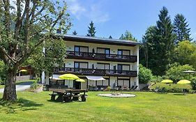 Pension & Apartments Weissbriach