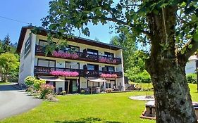 Pension & Apartments Weissbriach